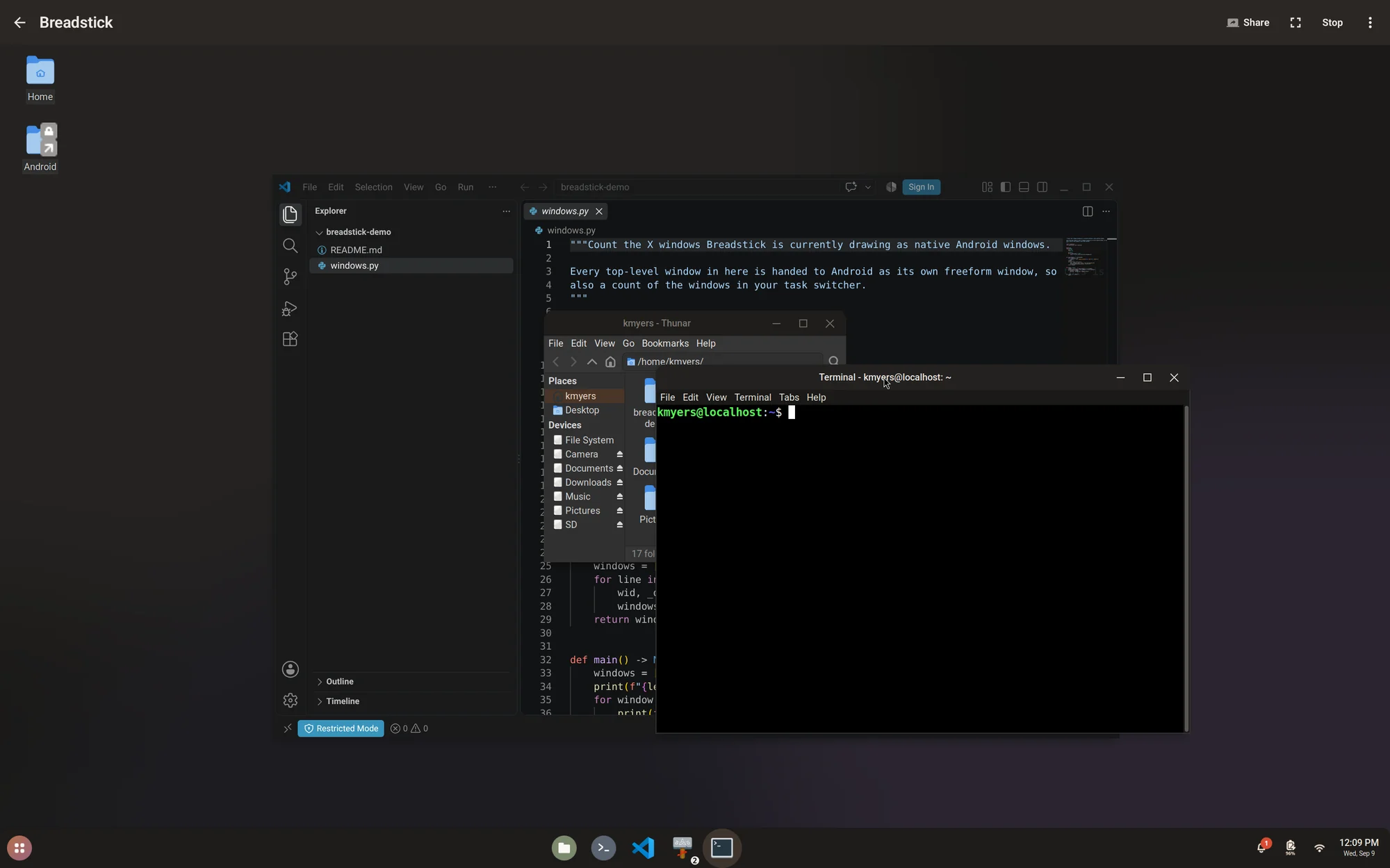 The Breadstick Linux desktop with VS Code, a file manager and a terminal open